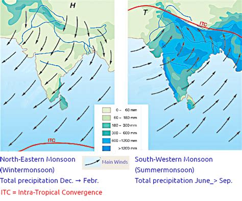  Year of the Monsoon: A Novel - 인도 영화의 숨결을 담다!